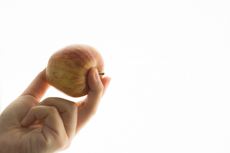 Woman hand holding a red apple on white backgroundの写真素材