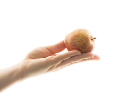 Woman hand holding a red apple on white backgroundの写真素材