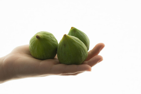 Figs in handsの写真素材
