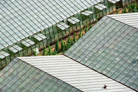 Aerial View of Greenhouse stock photoの写真素材