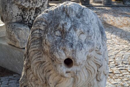 Hellenistic theatre in Miletus animal and human figures  (19)