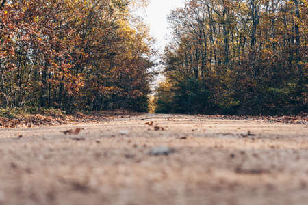 hiking trail in autumnの写真素材
