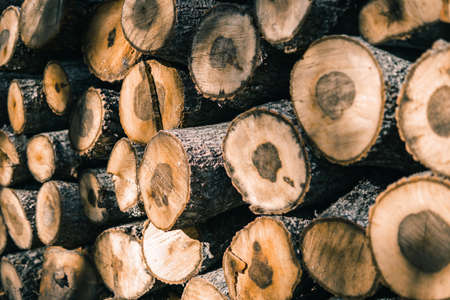 stack of firewoodの写真素材
