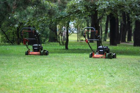 Red lawn mower の写真素材
