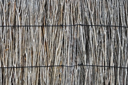 Close up to natural brushwood fence, textureの写真素材