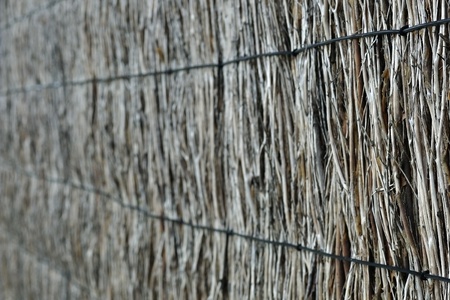 Blured natural brushwood fence, backgroundの写真素材