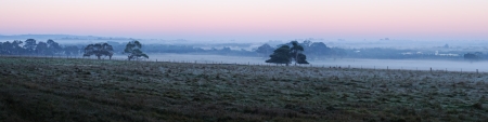 Panorama with trees frosty grass on farmland and fog in background in winter in Mornington Peninsula, Victoria, Australiaの写真素材