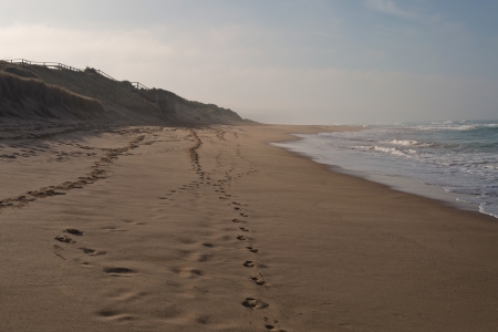 Surfing beach in morning dusk with breaking waves, footprints on sand, stairs on hill and clouds on sky in backgroundの写真素材