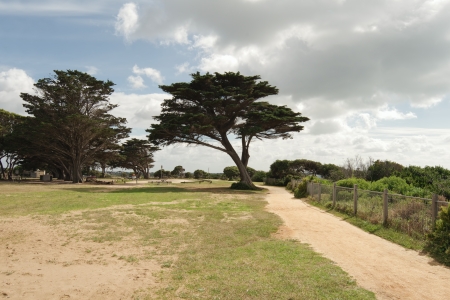Wind sweplt trees in a park with footpath, fence and clouds in Torquay, Victoria, Australiaの写真素材