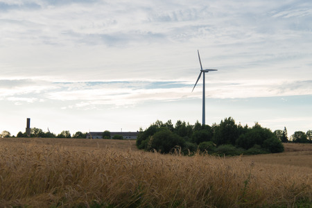 Wheat field, against the sky wind generatorの写真素材