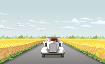 along the wheat fields of car ridesのイラスト素材
