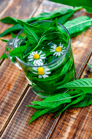 A cup of mint tea with chamomile on a wooden background. herbal tea with chamomile and fresh mint leaves on table. Closeup.の写真素材