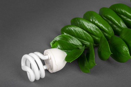 LED lamp with green leaf, ECO energy concept, close up. Light bulb on grey background. Saving Energy and Ecological Environment. Copy space.の写真素材