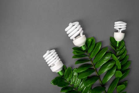 Three LED lamp with green leaf, ECO energy concept, close up. Light bulb on grey background. Saving Energy and Ecological Environment. Copy space.の写真素材