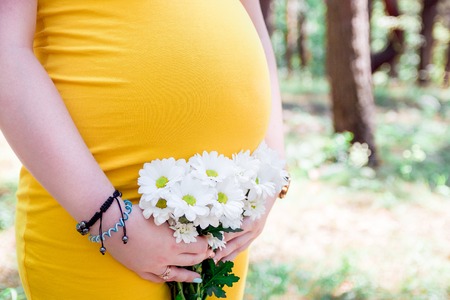 Close up on tummy of pregnant woman, wearing yellow dress, holding in hands bouquet chamomile flowers outdoors, new lifeの写真素材