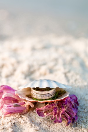 Engagement ring in open seashell on the ocean beach. Frame.の写真素材