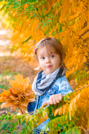 Little girl with yellow autumn golden leaves. Child play outdoors in the park. WOW.の写真素材