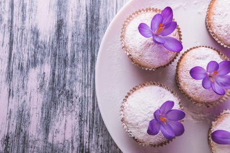 Muffins on white plate, decorated with crocus flower on wooden light purple background. Spring. Top view. Copy spaceの写真素材