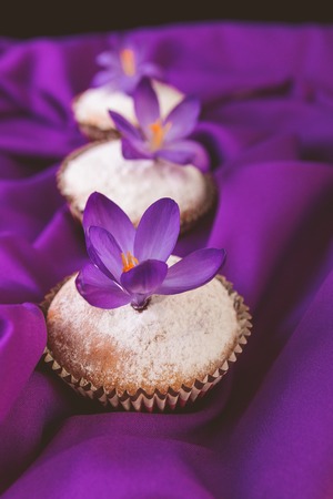 Muffins decorated with crocus flower on purple background.Spring. Close upの写真素材