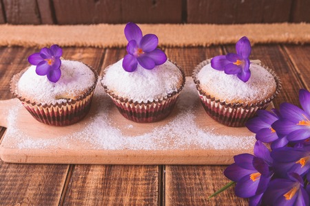 Muffins decorated with crocus flower on wooden background. Springの写真素材