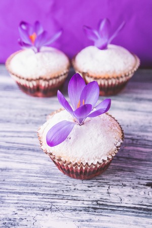 Muffins decorated with crocus flower on wooden light purple background.
Spring. Close upの写真素材