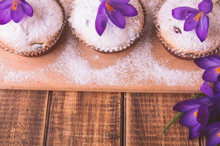 Muffins decorated with crocus flower on wooden background. Spring