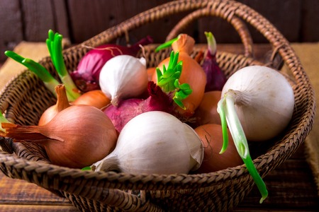 Different onions in basket on wooden background. Rustic style. Copy space. Top viewの写真素材