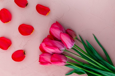 Pink tulips on white beige stone background. Top view. Copy space. Greeting cardの写真素材