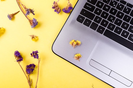 Notebook and flowers for female home or office workplace on yellow background. top view. Copy space.の写真素材