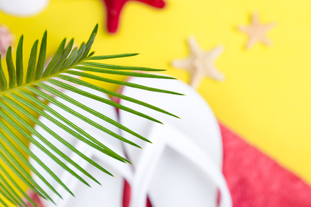Tropical Background Palm Trees Branches with blurred Set of Woman's Things Accessories to Beach Seasonの写真素材