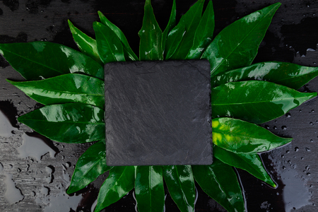 Creative layout made of leaves with black  slate plate card note. Flat lay. Copy space for text.の写真素材