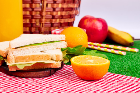 Picnic on the grass. Red checked tablecloth, basket, healthy food sandwich and fruit, orange juice.  Summer Time Rest.の写真素材