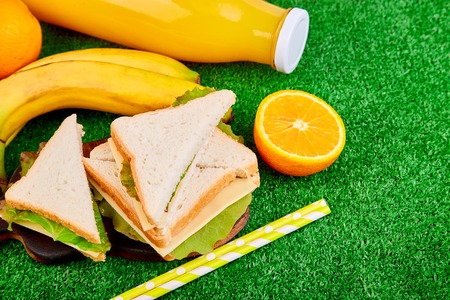 Picnic on the grass. Red checked tablecloth, basket, healthy food sandwich and fruit, orange juice. Top view.  Summer Time Rest. Flat lay.の写真素材
