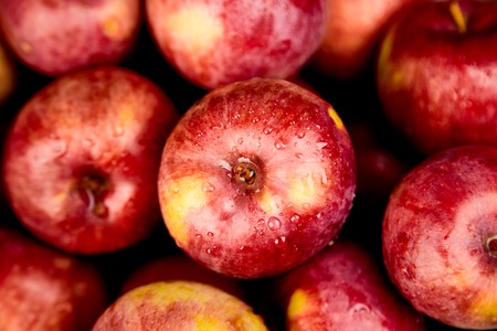 Fresh organic red apples on black background. Flat lay. Frame. Top view. Copy space. Autumn harvestの写真素材