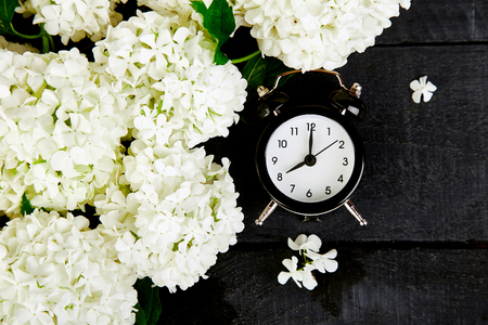 Black alarm clock and white flowers on black background.  Mother or Women Day. Greeting Card. Good Morning breakfast.  Spring. Romantic. Top view. Copy space. Flat layの写真素材