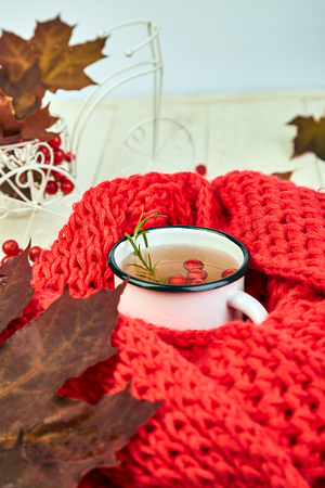 Mug or cup of hot viburnum tea with red warm knitted scarf, autumn maple red leaves and viburnum berries on white background. Winter. Christmas. Cold  season.の写真素材