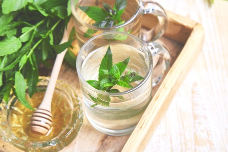 Hot herbal mint tea drink in glass cups or mug on wooden tray. Honey and fresh garden mint leaves Copy space.の写真素材
