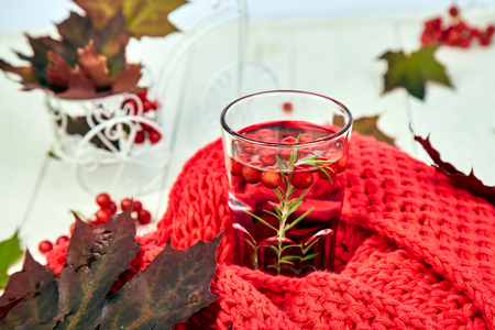 Mug or cup of hot viburnum tea with red warm knitted scarf, autumn maple red leaves and viburnum berries on white background. Winter. Christmas. Cold  season.の写真素材