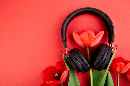 Black Headphones and red  bouquet tulips on red background. Flat lay. Top view. Copy space. Listen to  the music.の写真素材