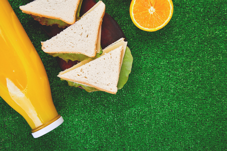 Picnic on the grass. healthy food sandwich and fruit, orange juice. Top view. Summer Time Rest. Flat lay.の写真素材
