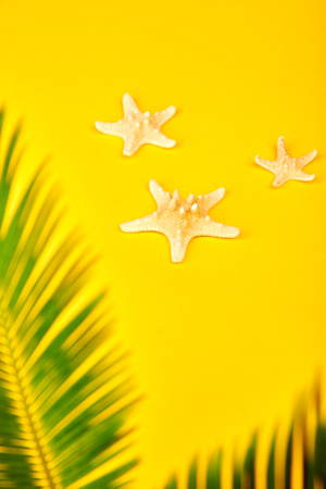 Summer. Starfish with tropical palm branches on yellow background. Beach, vacation, travel concept, Minimalism. Flat lay, top view. Copy spaceの写真素材