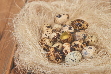 Quail eggs in the nest on woodenの写真素材