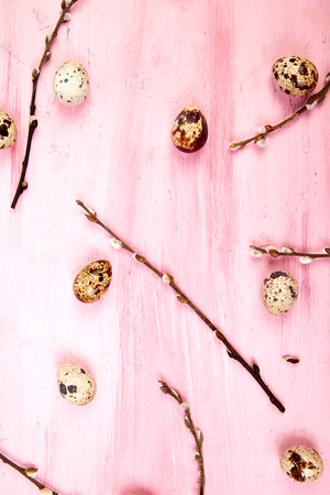 Quail eggs on pink background with willow branch. Happy easter. Top view. Free space. Flat lay. Spring. Easter egg.の写真素材