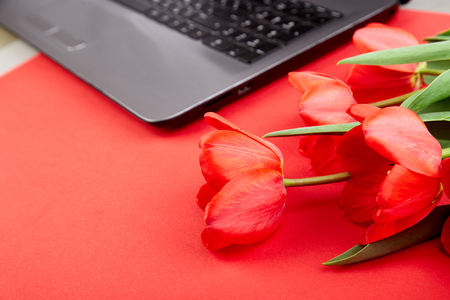 Woman or feminine workspace with laptop, notebook and bouquet flowers tulips on red table. の写真素材