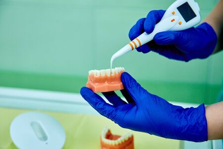 Dentist holding teeth model denture and periodontal probe.の写真素材