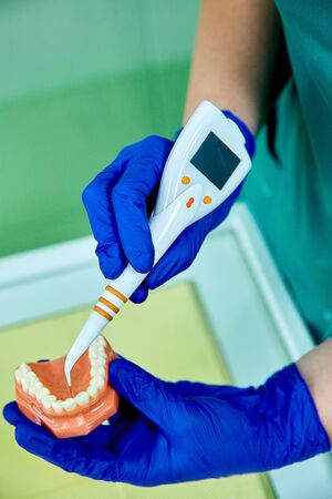 Dentist holding teeth model denture and periodontal probe.