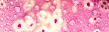 Banner of Orchid background. Macro of flower petal with water drops. Inside.