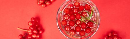 Banner of Tasty cold fresh drink, detox water, lemonade with viburnum berry, rosemary in glass on...