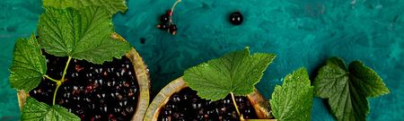 Banner of Blackcurrant berries with leaves, black currant in green bowls. Top view. Copy space. Flat...