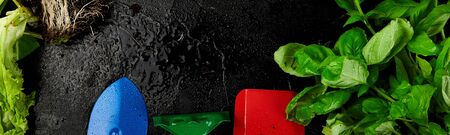 Banner of Flat lay of Gardening tools, basil, eco flowerpot, soil on black background. Spring garden...